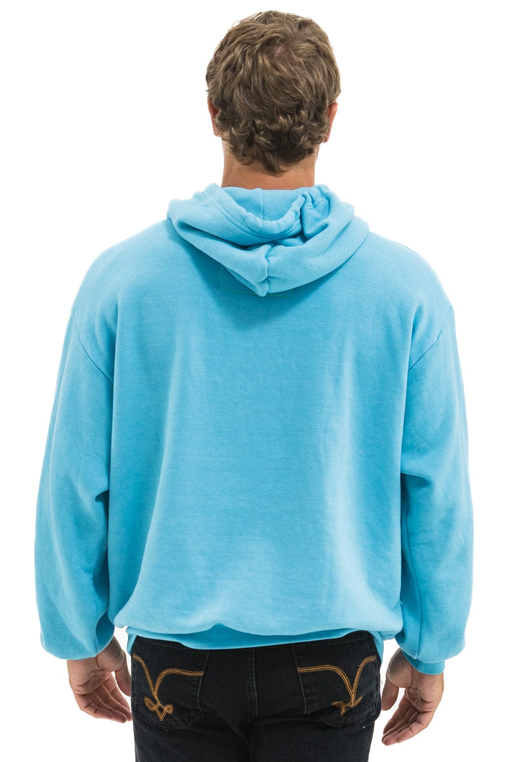 Retro BLAZE PULLOVER HOODIE RELAXED - AQUA AQUA