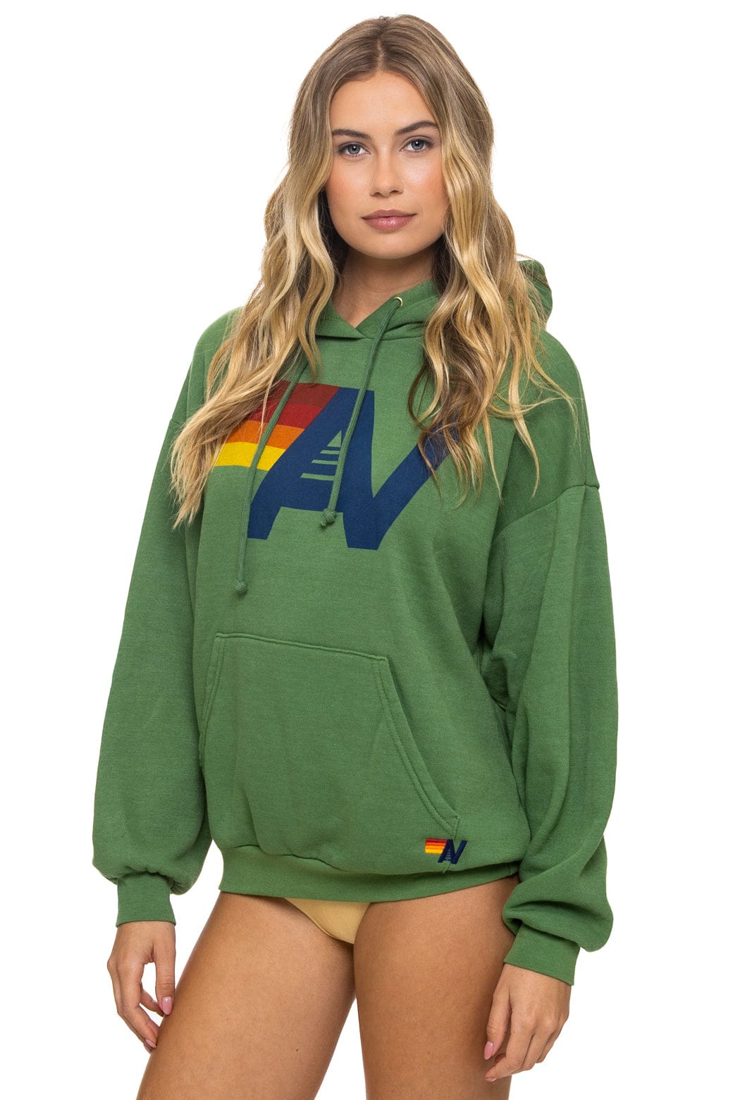Retro LOGO PULLOVER RELAXED HOODIE - PALM