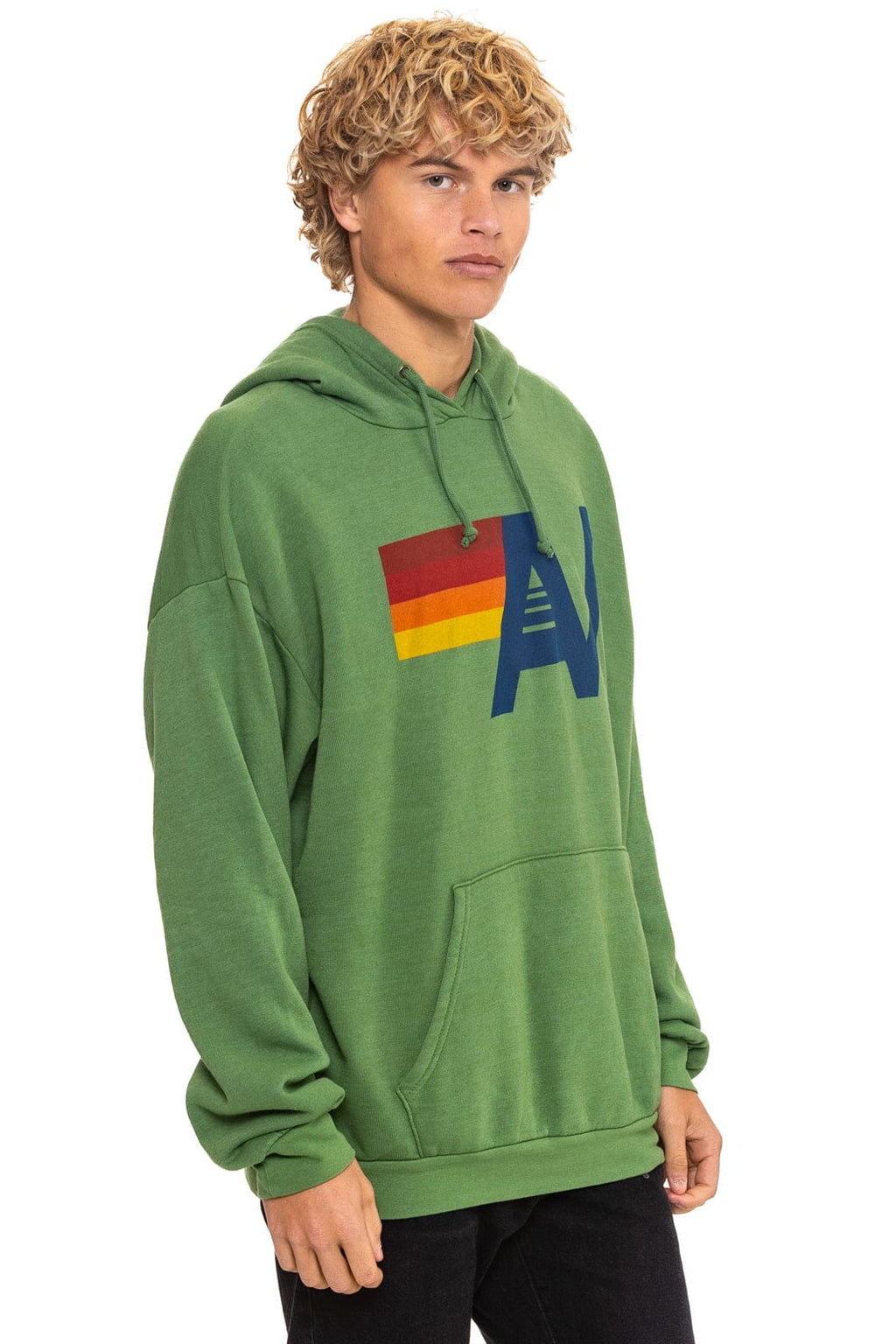 Retro LOGO PULLOVER RELAXED HOODIE - PALM