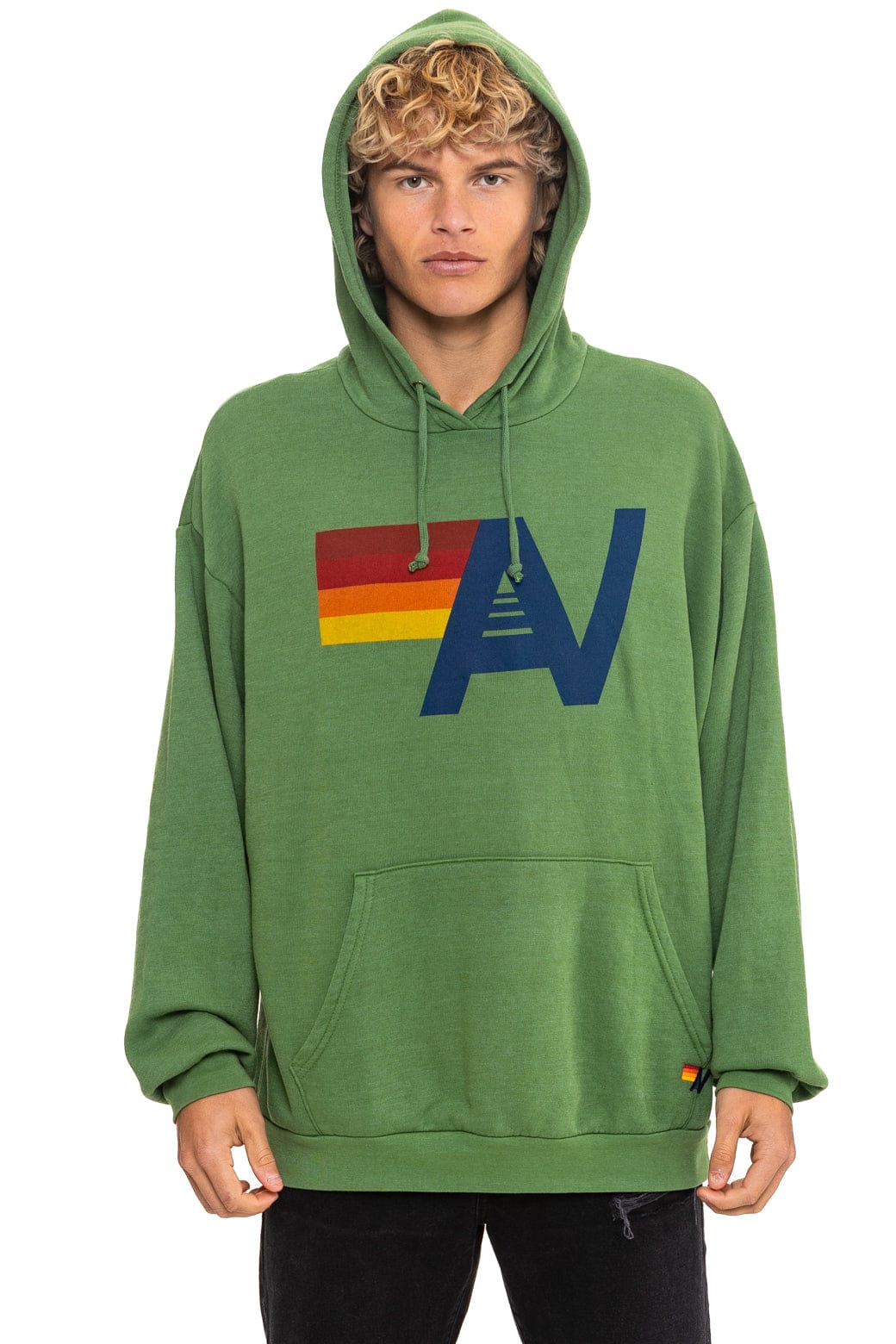 Retro LOGO PULLOVER RELAXED HOODIE - PALM