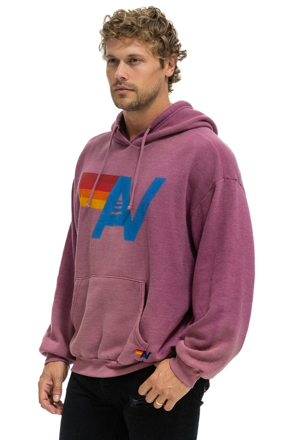 Retro VINTAGE LOGO RELAXED PULLOVER HOODIE - FADED BERRY