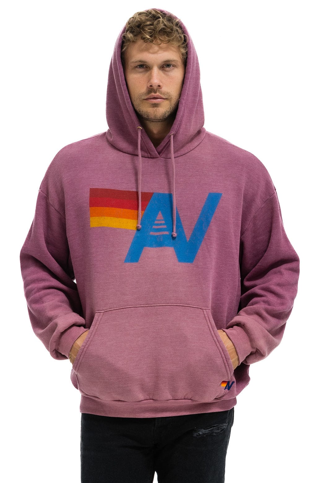 Retro VINTAGE LOGO RELAXED PULLOVER HOODIE - FADED BERRY