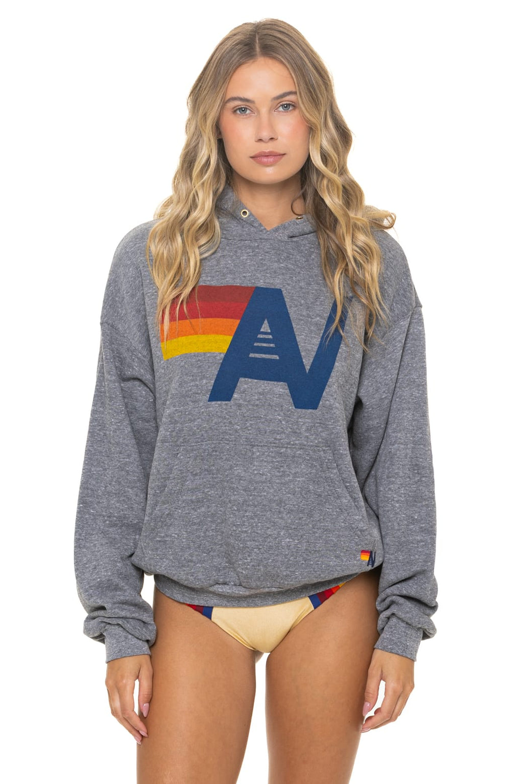 Retro LOGO PULLOVER RELAXED HOODIE - HEATHER GREY