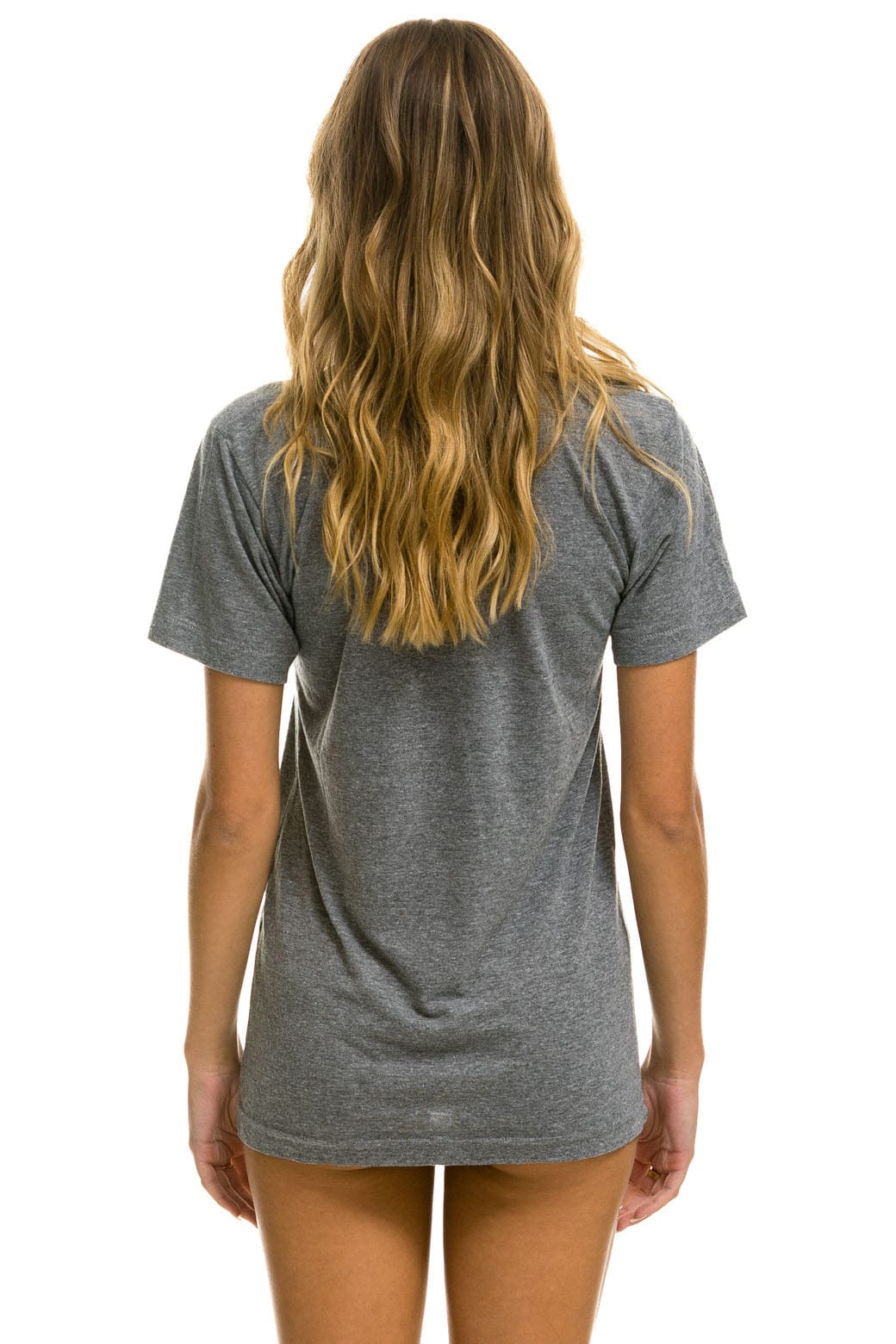 Retro AVIATOR NATION VAIL TEE - HEATHER