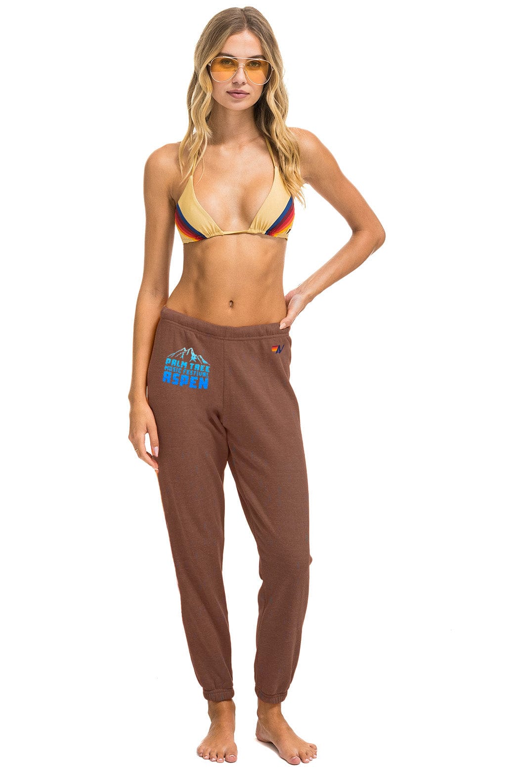 Retro PALM TREE FESTIVAL ASPEN 2025 UNISEX SWEATPANTS - BROWN