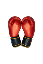 Retro BOXING GLOVES - RED GOLD