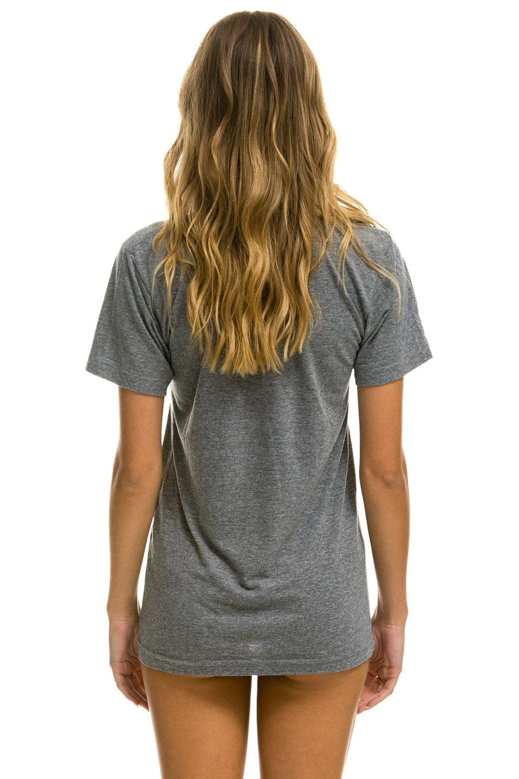 Retro SIGNATURE ASPEN TEE - HEATHER GREY